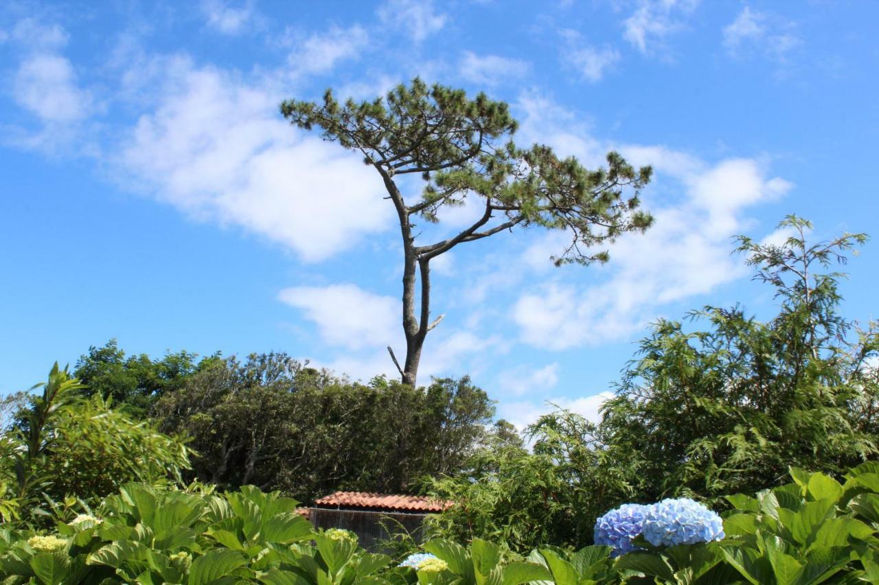 Quinta Do Torreao Villa Capelas Eksteriør bilde
